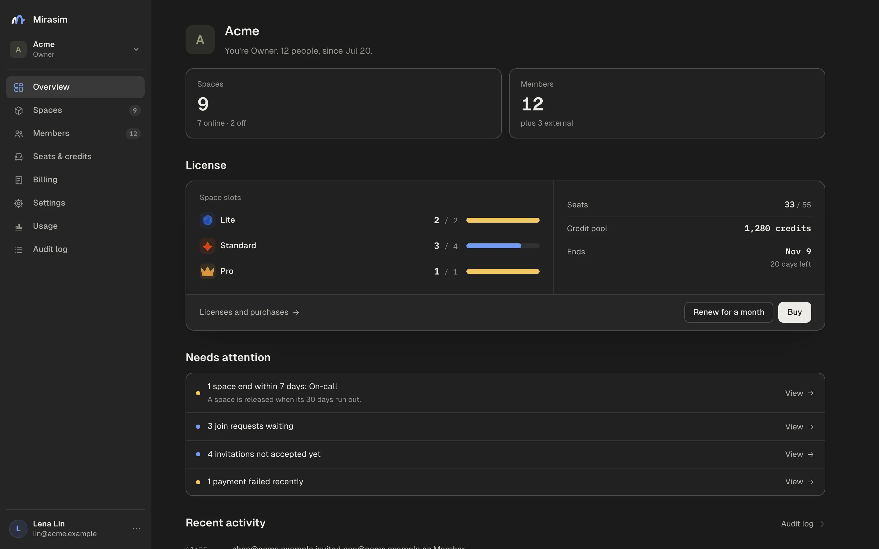 The organization overview: space slots per tier, seats, the credit pool and the expiry date, with things to handle below.